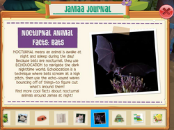 Nocturnal Animals | Animal Jam Wiki | Fandom Nocturnal Animals | Animal Jam Wiki | Fandom