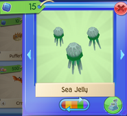 AQ Jelly 7