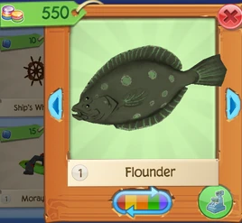 AQ Flounder 1