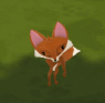 Fox1.gif (962 KB) Dance