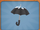 Polar Umbrella