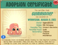Pet Certificate