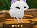 Arctic Fox