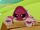 Pet Rock Crab