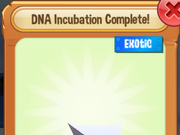 Category Exotic Pets Play Wild Wiki Fandom Sometimes, playing wild can lead to being wild, so it is advised to make sure anyone you invite. exotic pets play wild wiki fandom