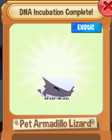 Pet Armadillo Lizard Play Wild Wiki Fandom Pets that do not exist in the game or are unobtainable are not listed. pet armadillo lizard play wild wiki