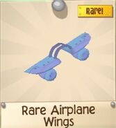 Rare Airplane Wings