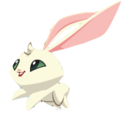 Bunny hop