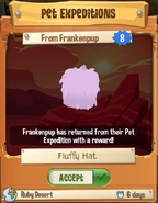 Pet Expedition Prize