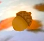 Acorn