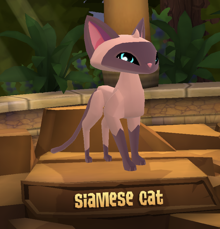 Siamese Cat | Animal Jam Wiki | Fandom