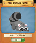 P Raccoon 8