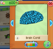 AQ Brain 4