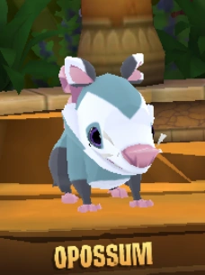 Opossum | Animal Jam Wiki | Fandom