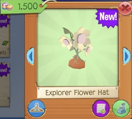 Screenshot 2020-07-03 at 8.50.55 PM