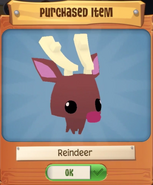 ReindeerPet 2