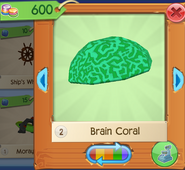 AQ Brain 7