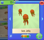 AQ Jelly 11