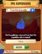 Pet Expedition Prize