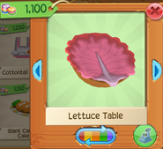 Lettuce 5