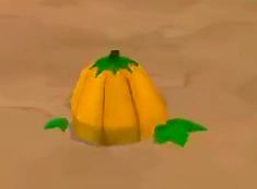 Pumpkin