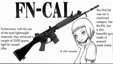 Fn cal