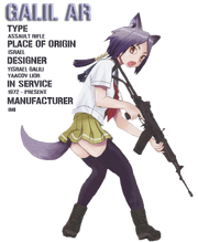 1335506909551.png
