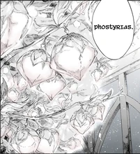 Phostyrias Ch 104