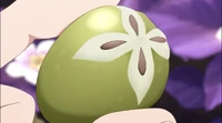 Roka fruit
