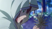 Shirayuki picks a herb.