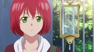 Guard shows Shirayuki what Court IDs look like.