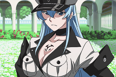 I've always wondered who could replace Najenda as night raid leader. Well  here you go, boss Leone has taken over! : r/AkameGaKILL