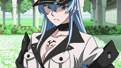 Esdeath has appeared in Akame Zero : r/AkameGaKILL