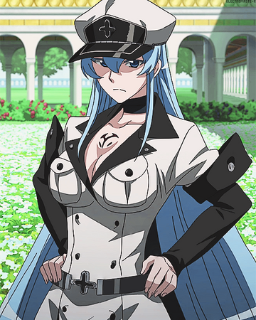 Esdeath Akame Ga Kill Wiki Fandom Esdeath Akame Ga Kill Wiki Fandom