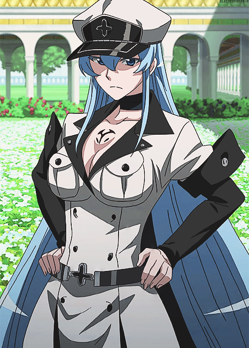 Amazingly, Akame Ga Kill Managed To Win Me Over