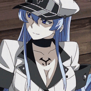Esdeath Animated Gifs Akame Ga Kill Wiki Fandom Discover more posts about 300x300. esdeath animated gifs akame ga kill