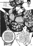 Bulat's databook page