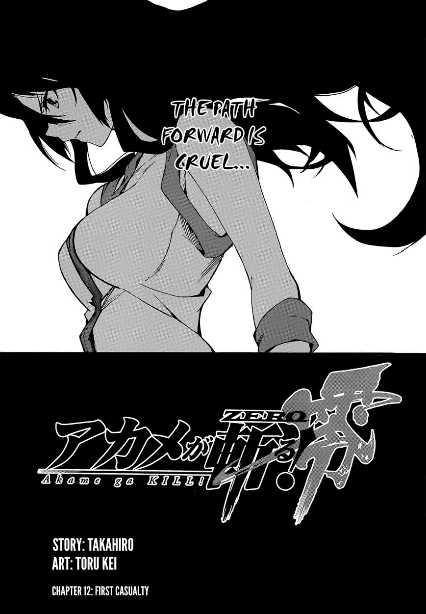 Category:Volume 10 (Zero), Akame Ga Kill! Wiki