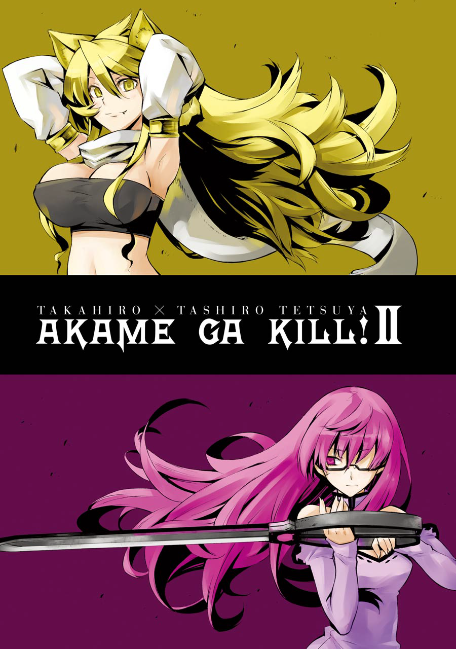 Akame ga KILL! ZERO, Vol. 2 on Apple Books