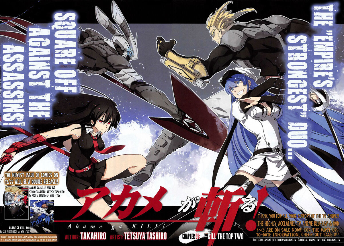 12 Most Popular Characters in the Anime Akame Ga Kill! Do you have a  favorite?