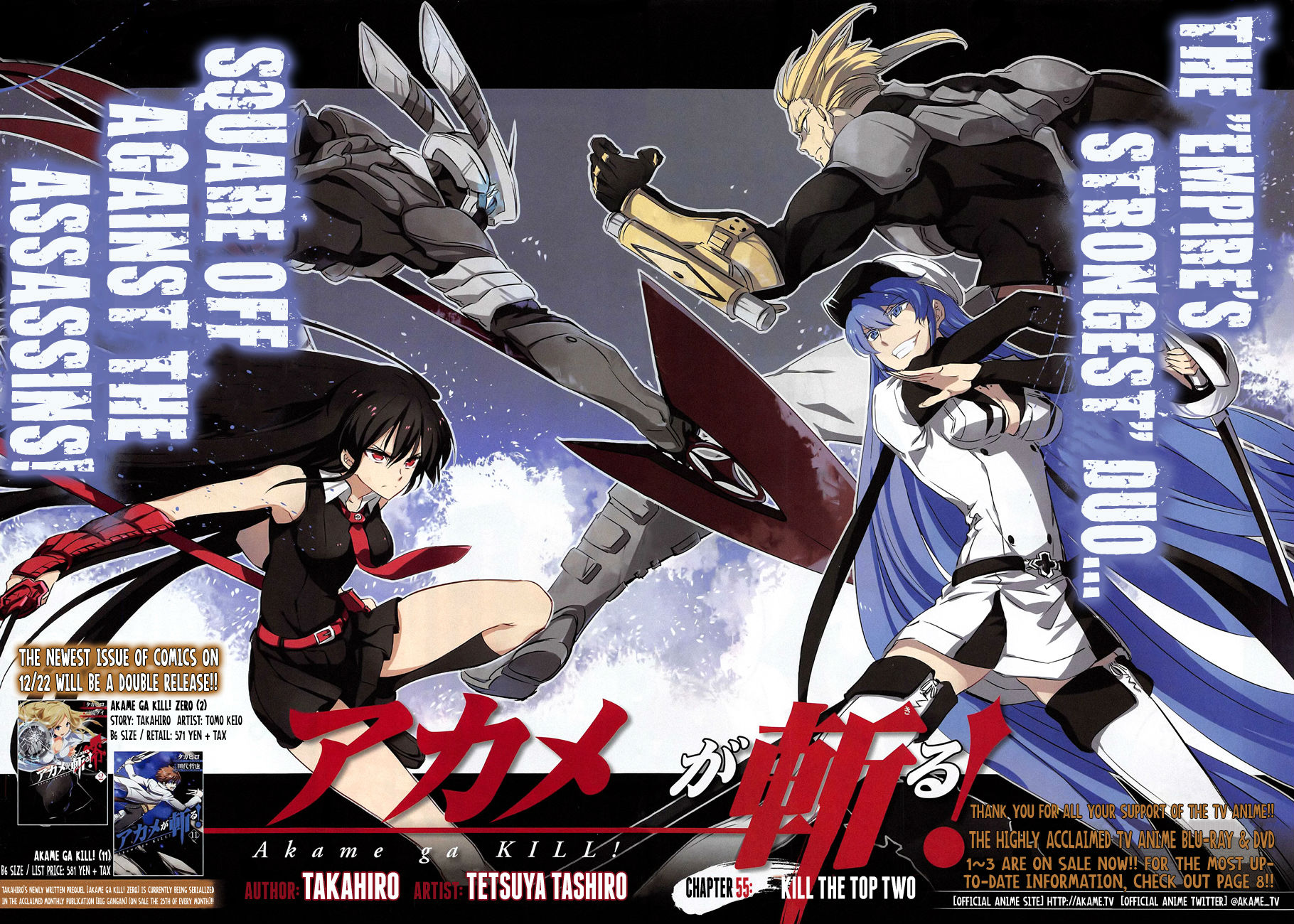 How is Akame Ga Kill Zero different from the main storyline?