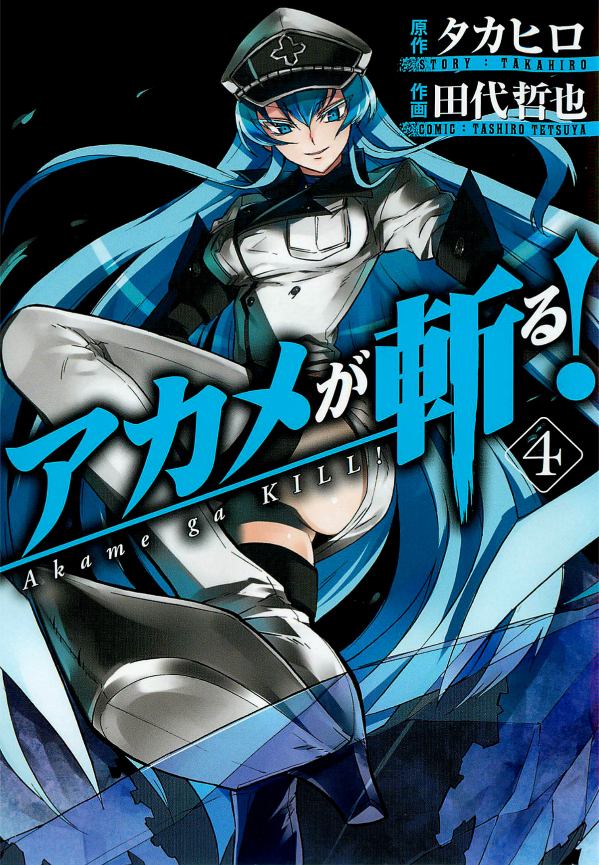 Akame ga Kill! Vol. 4 Review