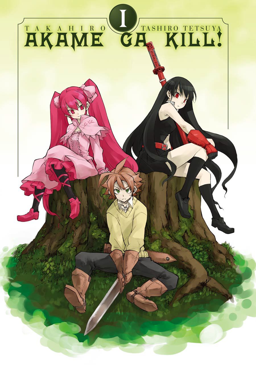 Akame Ga Kill!, Volume 1