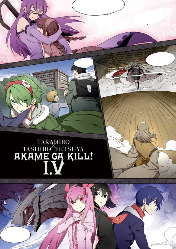 Akame Ga Kill - Vol. 15 - 1ª Ed. na Americanas Empresas