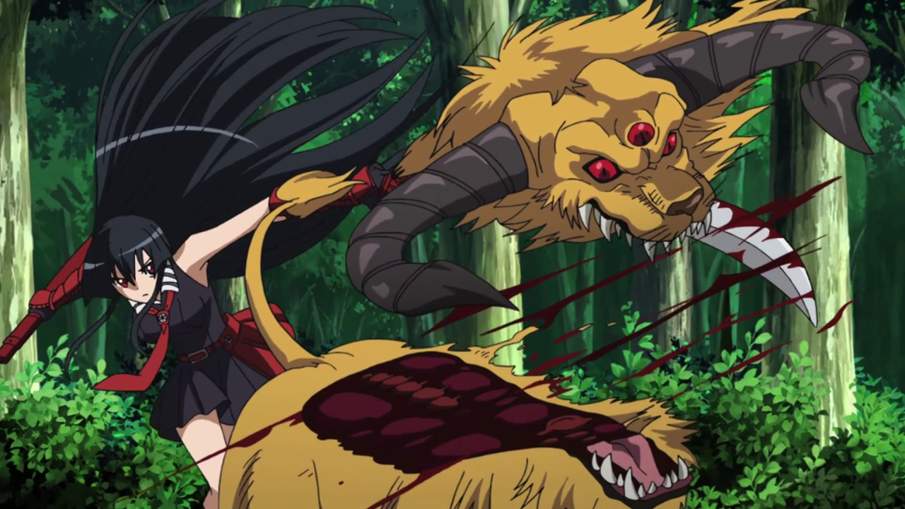 Leone/Filler Plot, Akame Ga Kill! Wiki