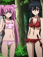 Akame and Mine wearing bikinis