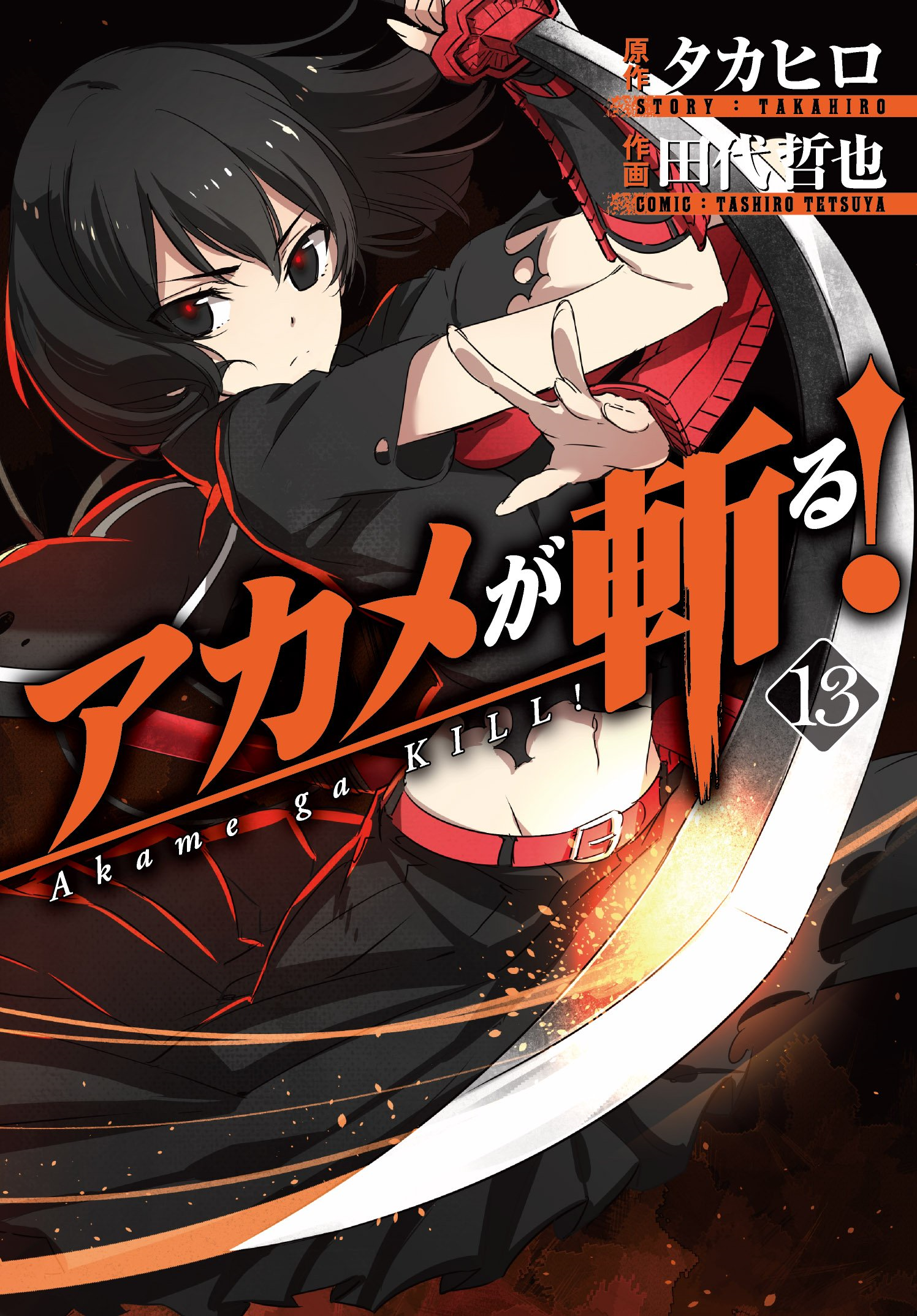 Volume 13 Akame Ga Kill Wiki Fandom