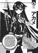 Akame's databook page