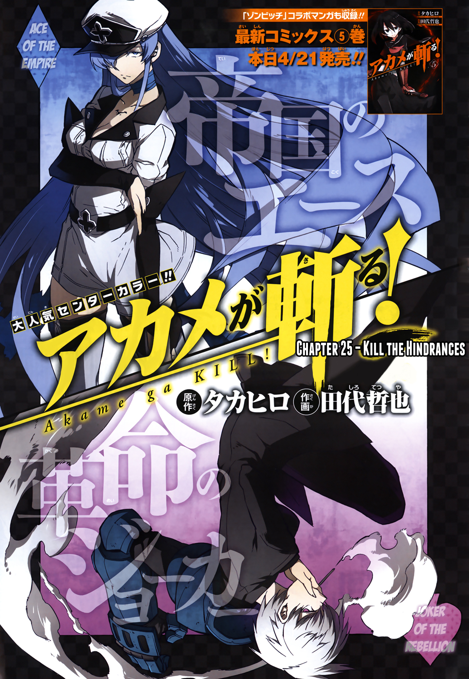 Akame ga KILL!, Vol. 6 (Paperback)