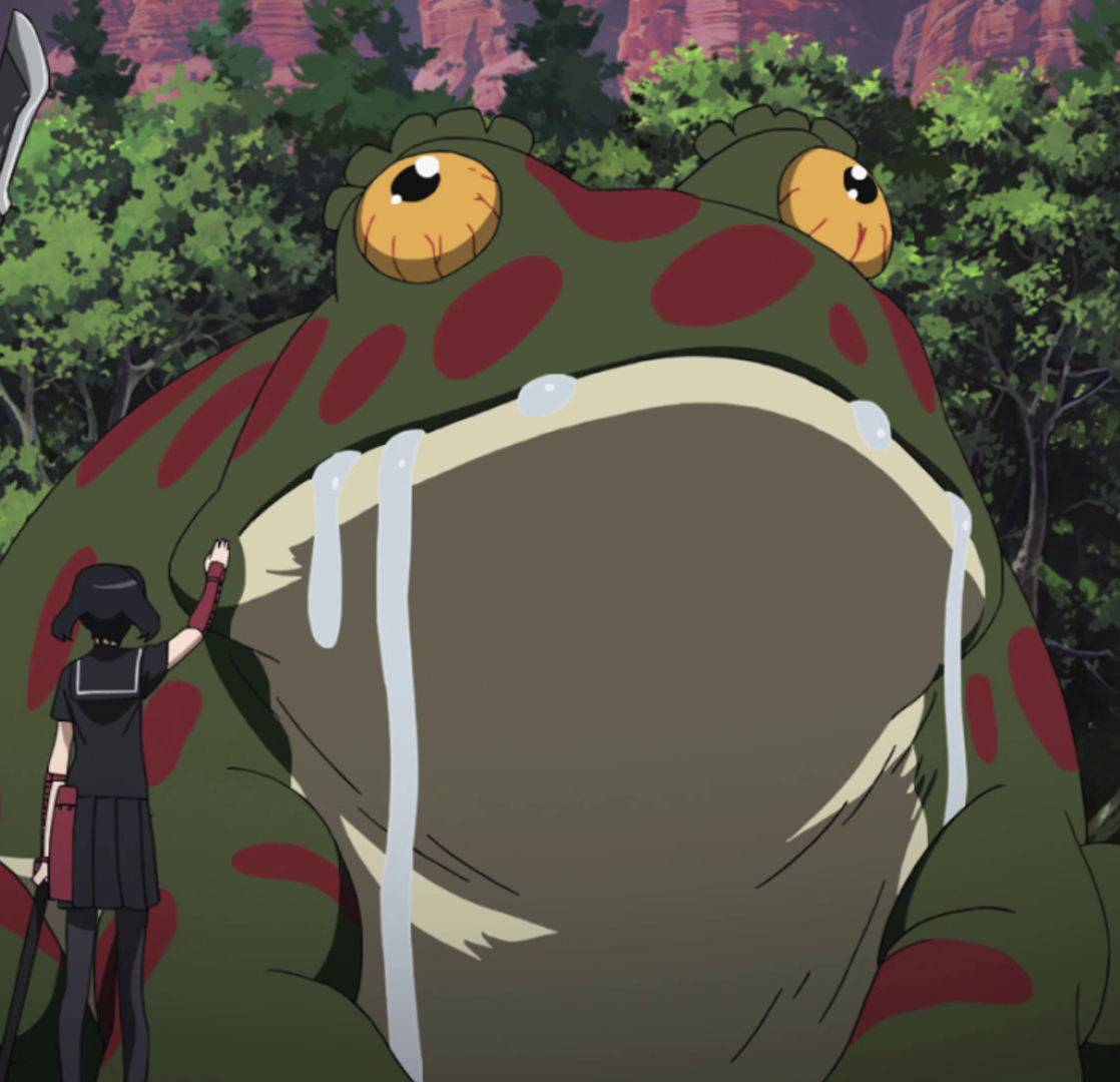 Kawaii Frog Anime School Boy
